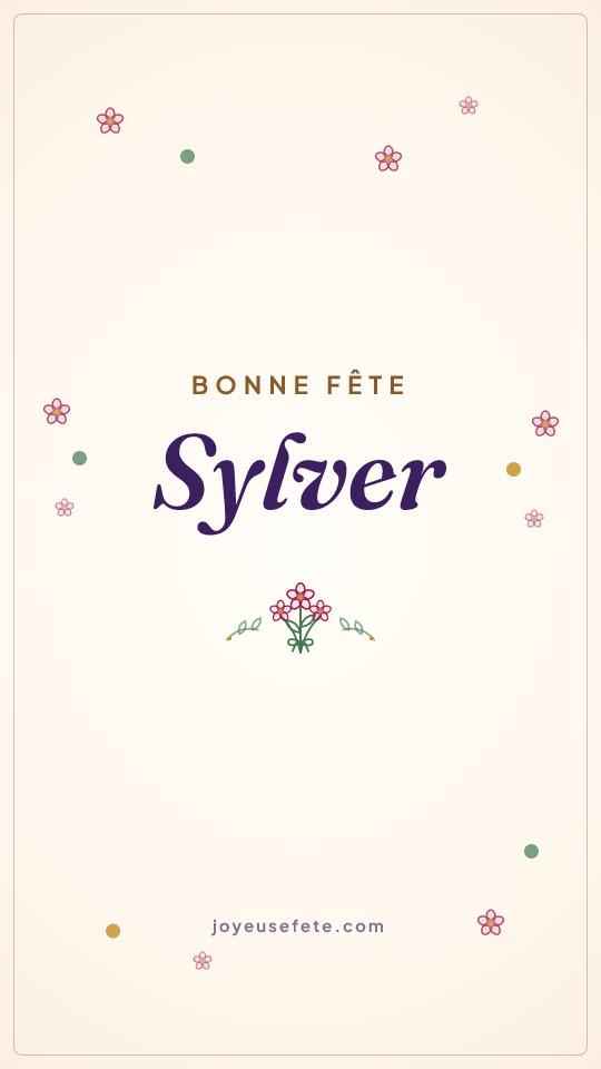 Image « Bonne fête Sylver » au format story