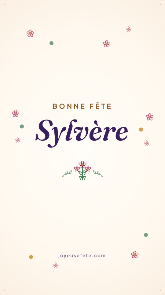 Image « Bonne fête Sylvere » au format story