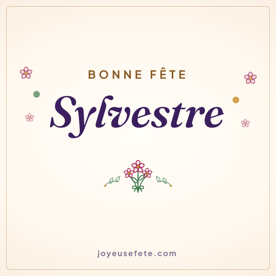 Image carrée « Bonne fête Sylvestre » pour WhatsApp
