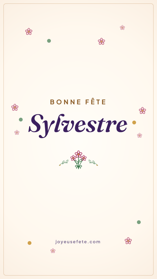 Image « Bonne fête Sylvestre » au format story