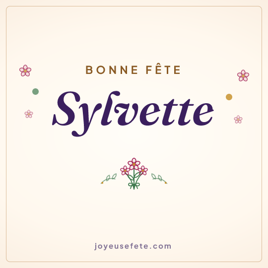 Image carrée « Bonne fête Sylvette » pour WhatsApp