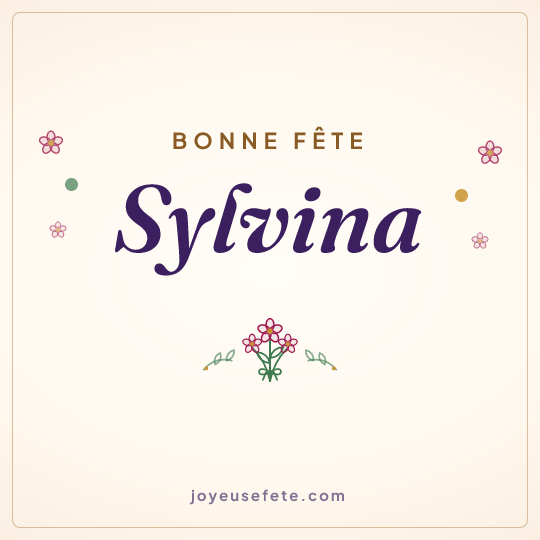 Image carrée « Bonne fête Sylvina » pour WhatsApp
