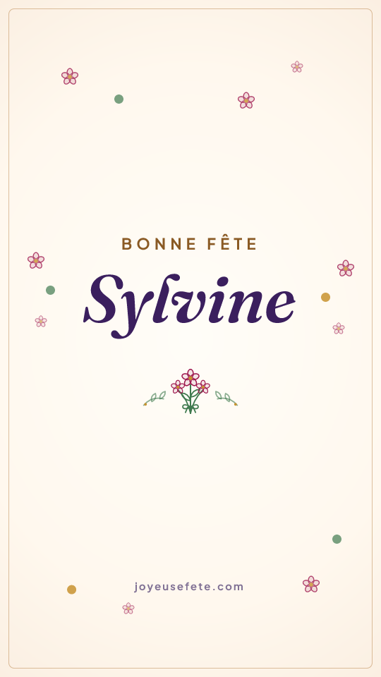 Image « Bonne fête Sylvine » au format story