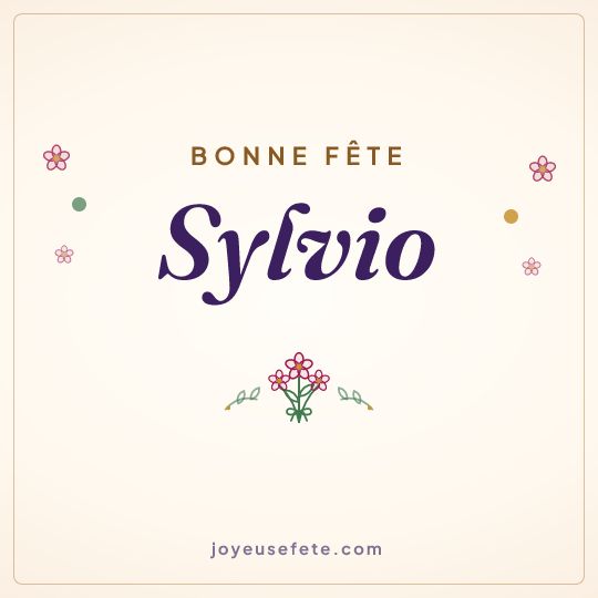 Image carrée « Bonne fête Sylvio » pour WhatsApp