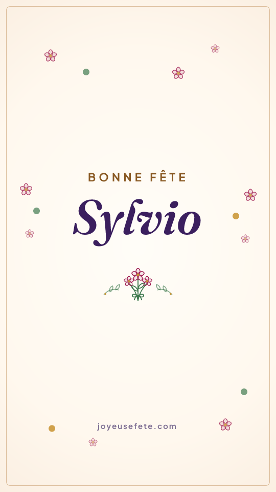 Image « Bonne fête Sylvio » au format story