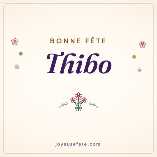 Image carrée « Bonne fête Thibo » pour WhatsApp