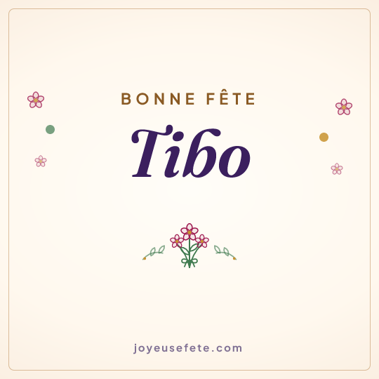 Image carrée « Bonne fête Tibo » pour WhatsApp