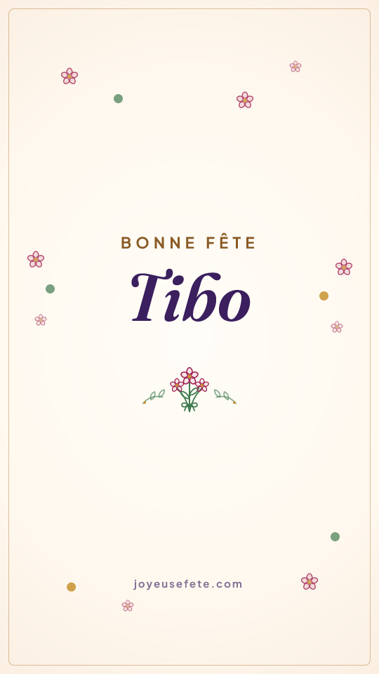 Image « Bonne fête Tibo » au format story