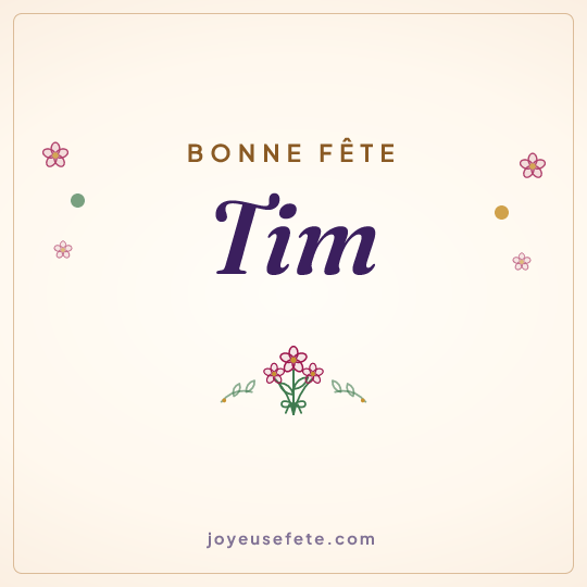 Image carrée « Bonne fête Tim » pour WhatsApp