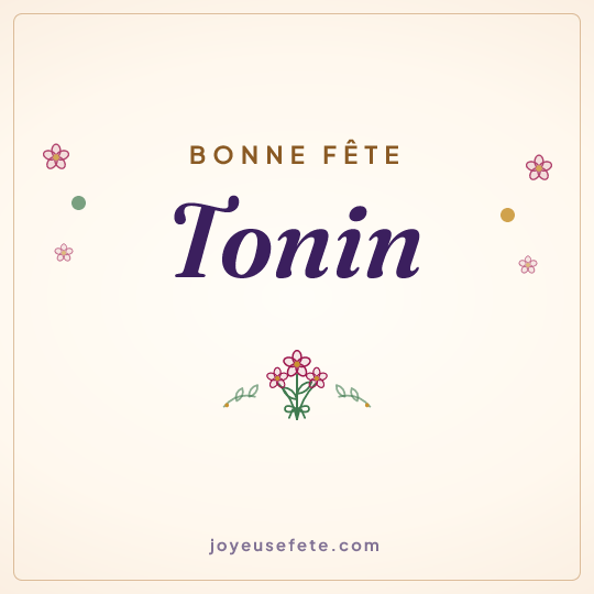 Image carrée « Bonne fête Tonin » pour WhatsApp