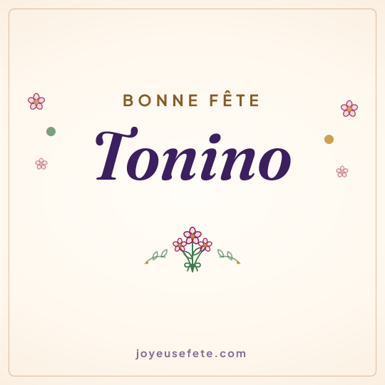 Image carrée « Bonne fête Tonino » pour WhatsApp