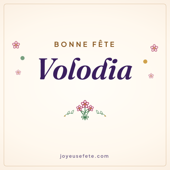 Image carrée « Bonne fête Volodia » pour WhatsApp