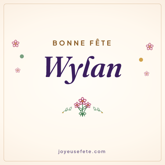 Image carrée « Bonne fête Wylan » pour WhatsApp