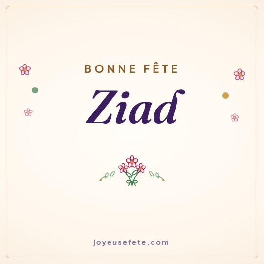 Image carrée « Bonne fête Ziad » pour WhatsApp
