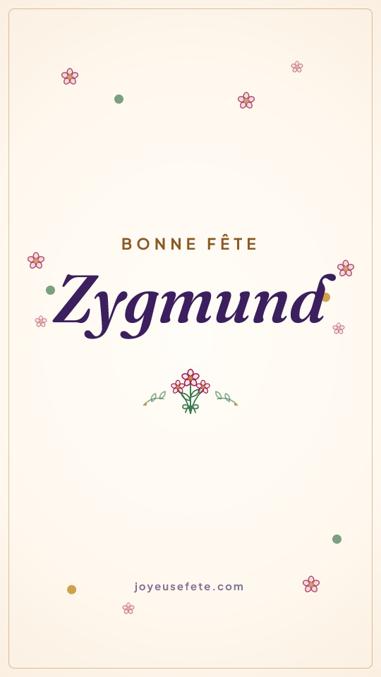 Image « Bonne fête Zygmund » au format story