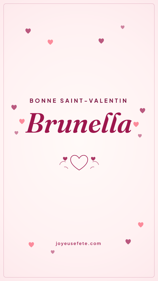 Image « Bonne Saint-Valentin Brunella » au format story