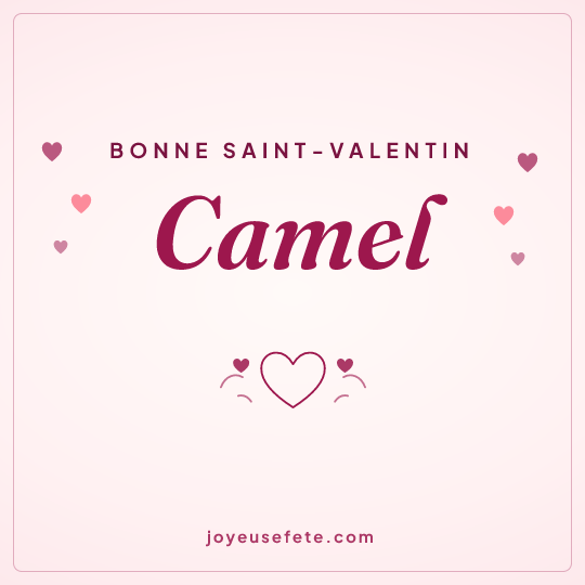 Image carrée « Bonne Saint-Valentin Camel » pour WhatsApp