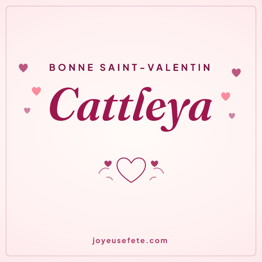 Image carrée « Bonne Saint-Valentin Cattleya » pour WhatsApp