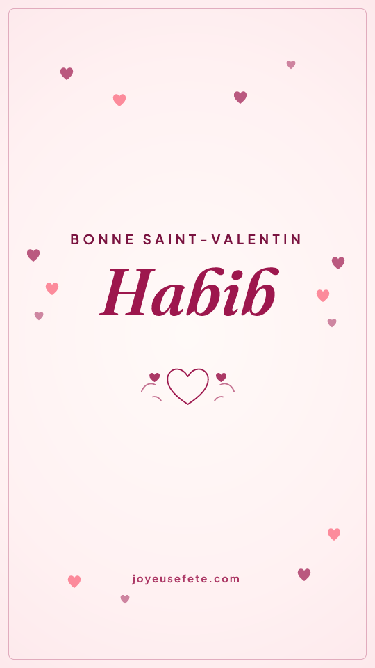 Image « Bonne Saint-Valentin Habib » au format story