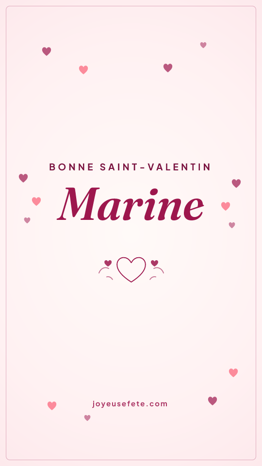 Image « Bonne Saint-Valentin Marine » au format story