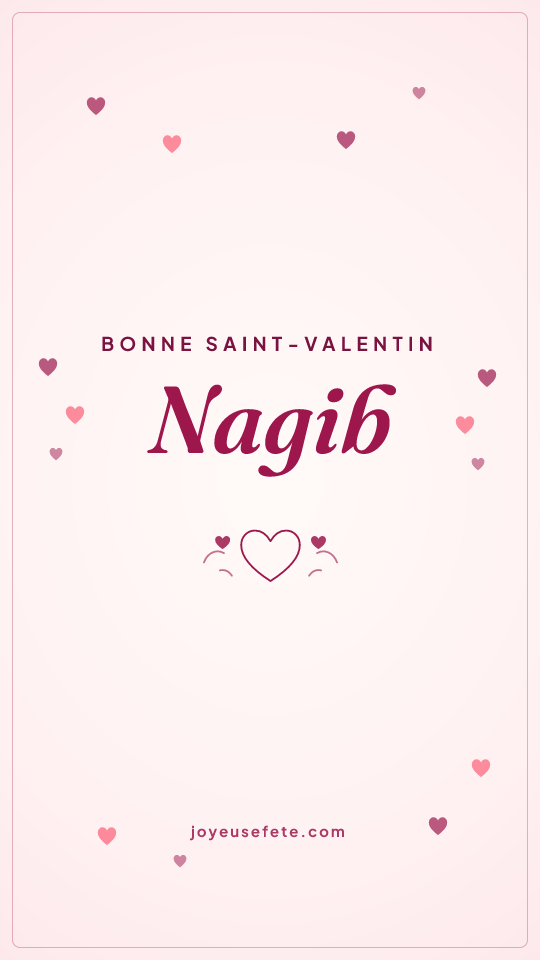 Image « Bonne Saint-Valentin Nagib » au format story