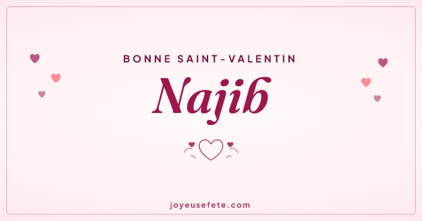 Image « Bonne Saint-Valentin Najib » au format large