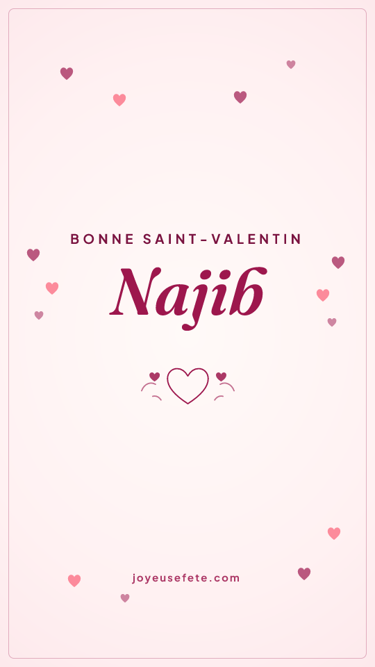 Image « Bonne Saint-Valentin Najib » au format story