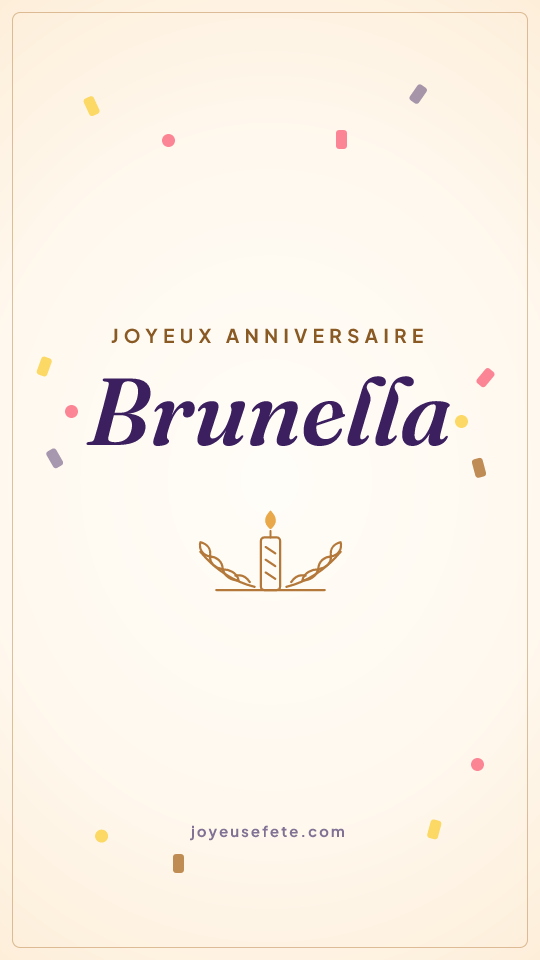 Image « Joyeux anniversaire Brunella » au format story
