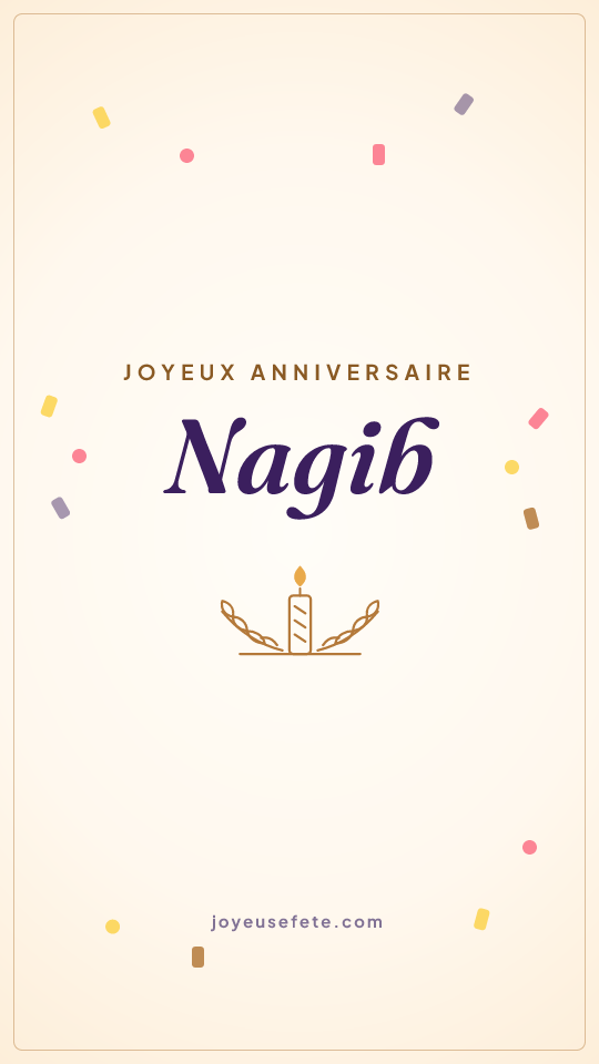 Image « Joyeux anniversaire Nagib » au format story