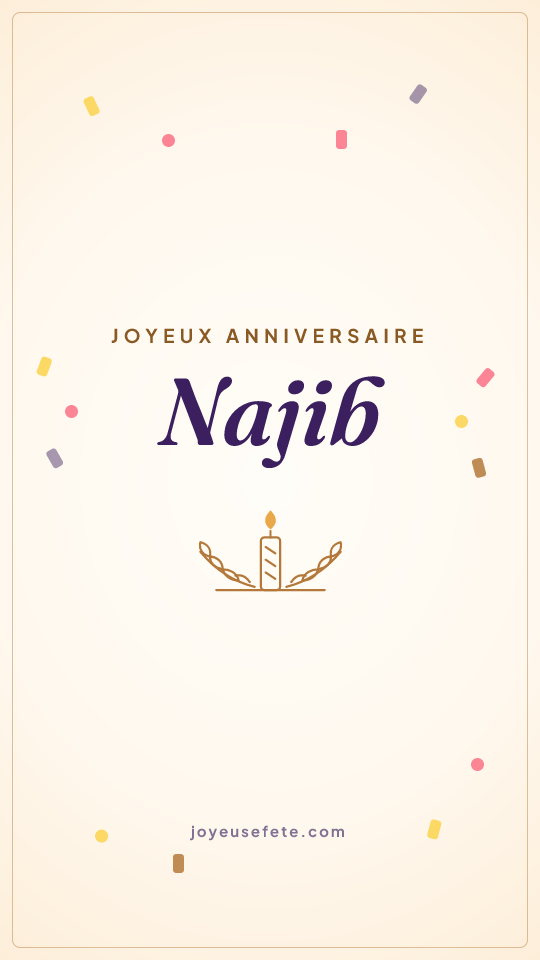 Image « Joyeux anniversaire Najib » au format story
