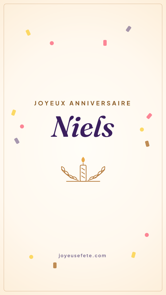 Image « Joyeux anniversaire Niels » au format story