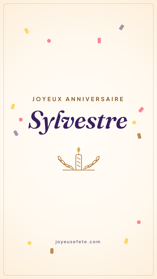 Image « Joyeux anniversaire Sylvestre » au format story