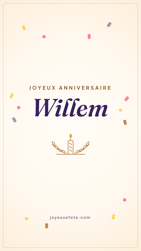 Image « Joyeux anniversaire Willem » au format story