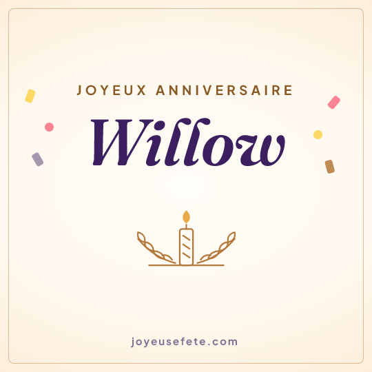 Image carrée « Joyeux anniversaire Willow » pour WhatsApp