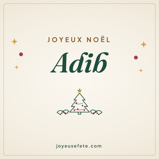 Image carrée « Joyeux Noël Adib » pour WhatsApp