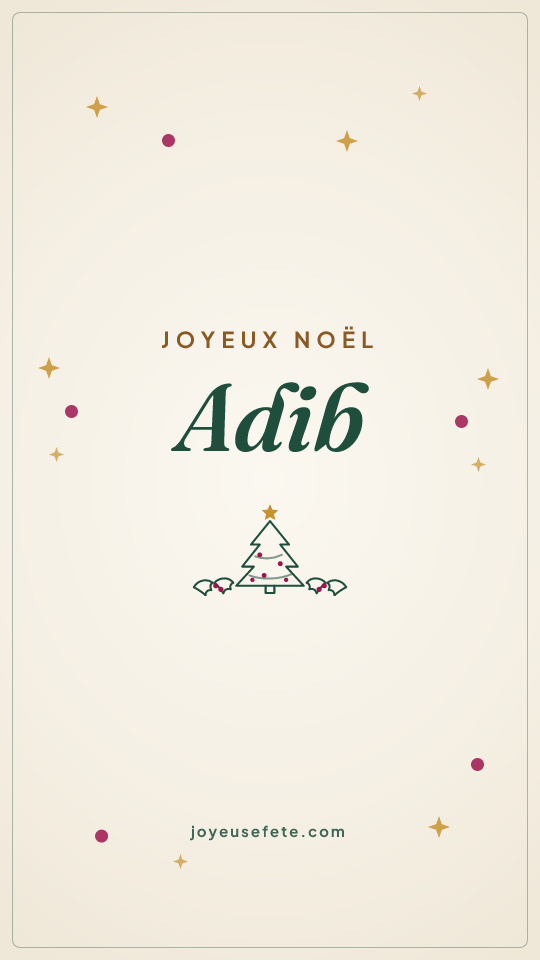 Image « Joyeux Noël Adib » au format story