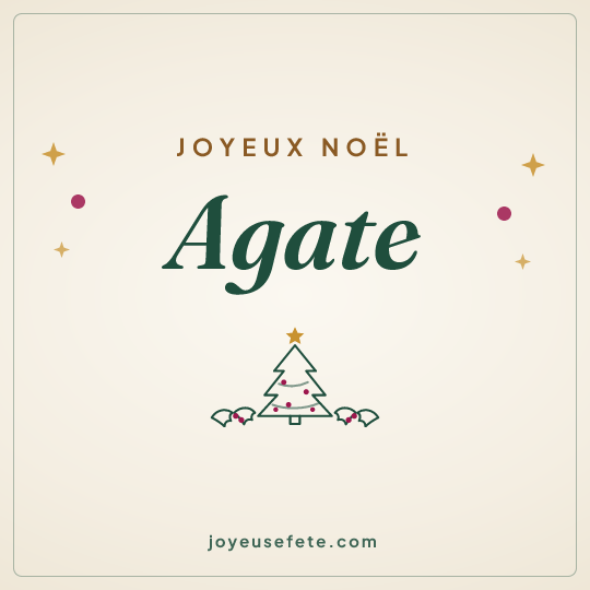 Image carrée « Joyeux Noël Agate » pour WhatsApp