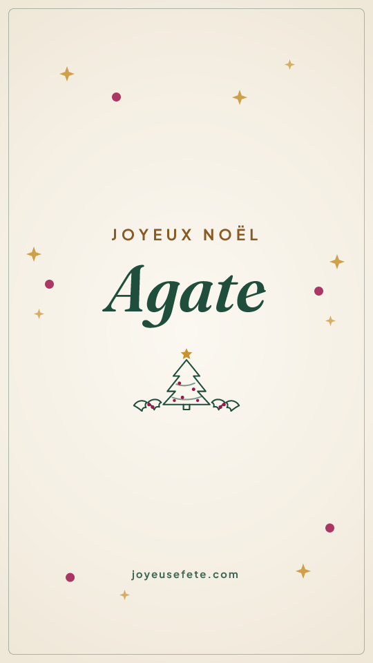 Image « Joyeux Noël Agate » au format story