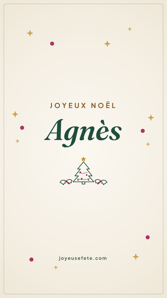 Image « Joyeux Noël Agnès » au format story
