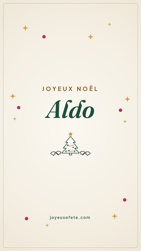 Image « Joyeux Noël Aldo » au format story