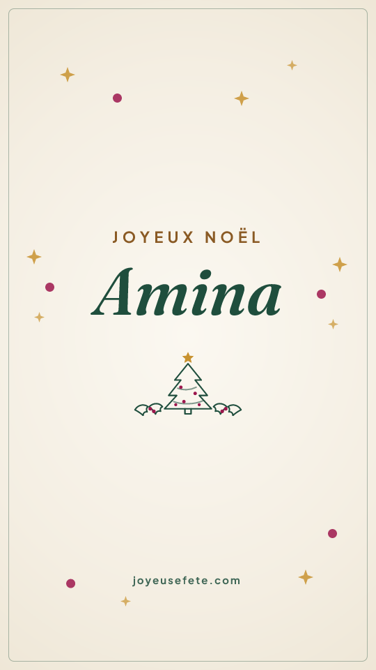 Image « Joyeux Noël Amina » au format story