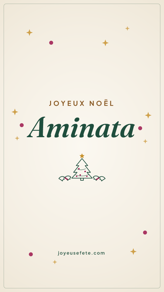 Image « Joyeux Noël Aminata » au format story
