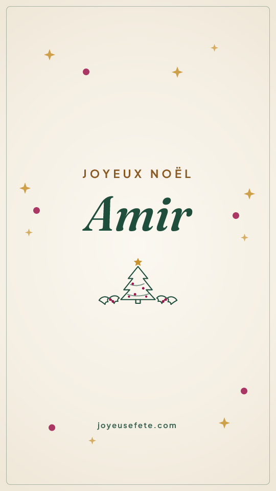 Image « Joyeux Noël Amir » au format story