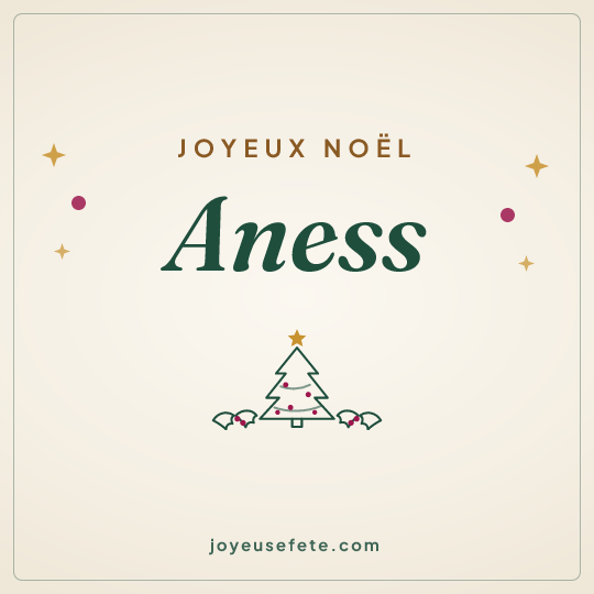 Image carrée « Joyeux Noël Aness » pour WhatsApp