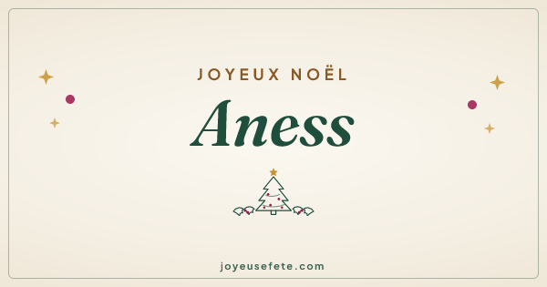 Image « Joyeux Noël Aness » au format large