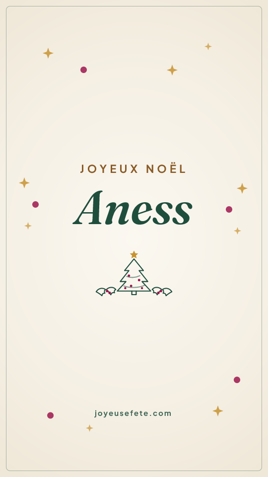 Image « Joyeux Noël Aness » au format story
