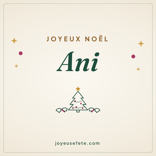 Image carrée « Joyeux Noël Ani » pour WhatsApp