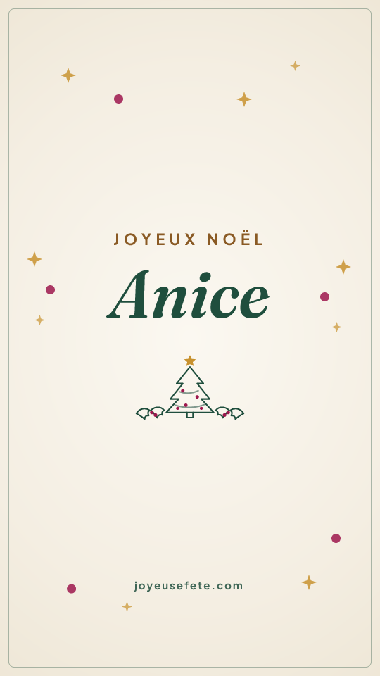 Image « Joyeux Noël Anice » au format story