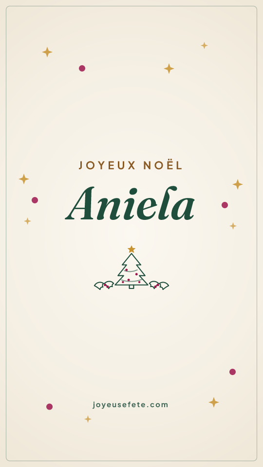 Image « Joyeux Noël Aniela » au format story