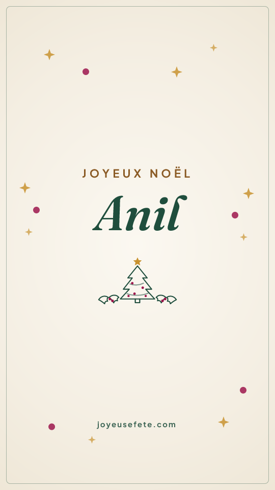 Image « Joyeux Noël Anil » au format story